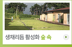 생체리듬 활성화 숲속