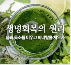 생명회복의 원리